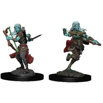 Wizkids Air Genasi Rogue Female