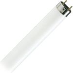 Philips Cool Daylight Tube