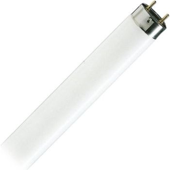 Philips Cool Daylight Tube