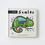 Quarto UK Wee Gallery Touch And Feel Scales