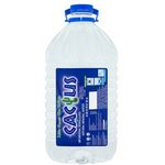 Cactus Mineral Water 5.5l