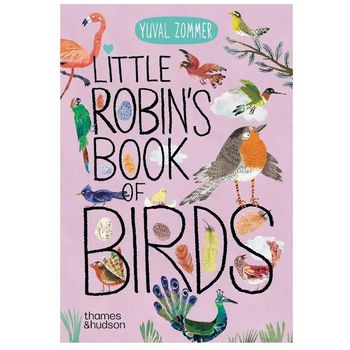 Thames & Hudson Little Robins Book of Birds by Yuval Zommer