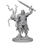 Wizkids Pathfinder Deep Cuts: Human Male Cleric 2