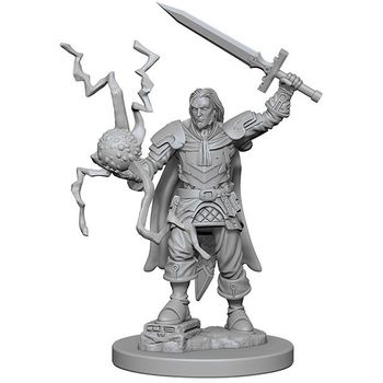 Wizkids Pathfinder Deep Cuts: Human Male Cleric 2