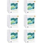 Rishi Tea Matcha Super Green Herbal Tea Organic Sencha Highly Caffeinated Umami Antioxidant Rich 40.5g 15 Sachets Pack Of 6