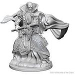 Wizkids Dungeons & Dragons Nolzur’s Marvelous Miniatures: Human Wizard Male