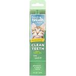 Tropiclean Fresh Breath By Tropiclean No Brushing Clean Teeth Dental And Oral Care Gel For Cats 60g Made In Usa
