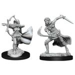 Wizkids Female Air Genasi