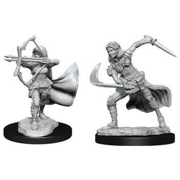 Wizkids Female Air Genasi