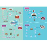 Brain Quest Summer Brain Quest Between Grades 4 And 5