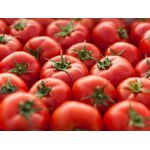 Tomato Red Appro 1kg