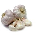 Garlic India         