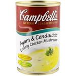 Campbell Creamy Chicken Mushroom Soup 305g