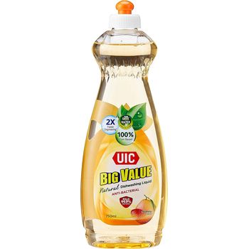 UIC Big Value Pomelo Dishwashing Liquid 750ml