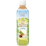 Allswell Water Chestnut and Sugar Cane 500ml