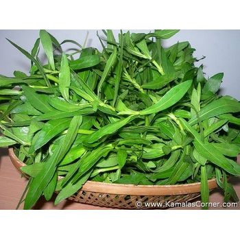 Kurma Leaf Ponnanganni Keera 