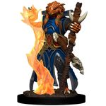 Wizkids Dragonborn Sorcerer Female (Premium)