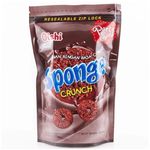 Oishi Sponge Crunch Party Size Chocolate 100g