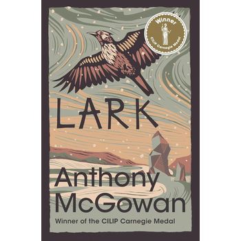 Barrington Stoke Lark by Anthony McGowan