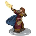Wizkids Female Dwarf Wizard (premium)