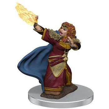 Wizkids Female Dwarf Wizard (premium)