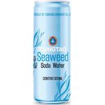 Tsingtao Carbonated Water with Seaweed Flavour 24 x 320ml