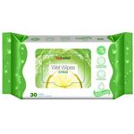 Big Basket Wet Wipes 30 Pulls