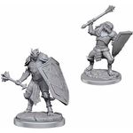 Wizkids Dragonborn Clerics