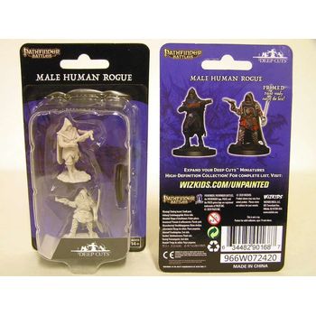 Wizkids Male Human Rogue (Wave 13)