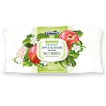 Ultra Compact Wet Pape Apple 120pcs