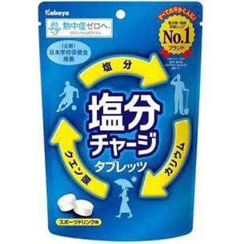Kabaya Salt Charge Tablets 81g