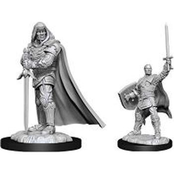 WizKids D&D Nolzur's Marvelous Unpainted Miniatures Human Paladin Male