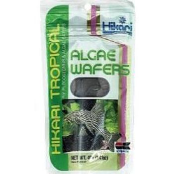 Hikari Algae Wafers 82g