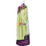 Freshco China Fresh Celery