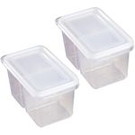 2pcs Storage Box Double Grids Transparent Scallion Containers For Kitchen