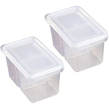 2pcs Storage Box Double Grids Transparent Scallion Containers For Kitchen