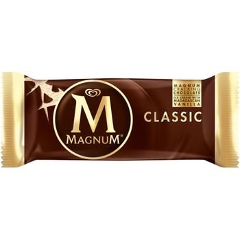 Magnum Classic Vanilla Ice Cream 110ml