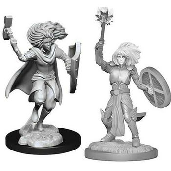 Wizkids Changeling Cleric