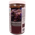 Continuum Exxodus Phosphyx Chemical Media 250g
