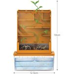 4M Green Science Grow a Maze