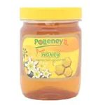 Polleney Pure Honey 454g