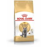 Royal Canin Cat British Shorthair Adult 2kg