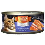 Cindy's Recipe Signature Salmon Fillet With Trout 70g