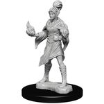 Wizkids Pathfinder Deep Cuts: Elf Female Sorcerer