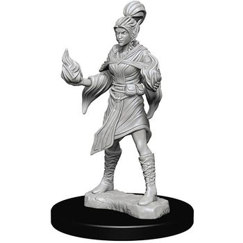 Wizkids Pathfinder Deep Cuts: Elf Female Sorcerer
