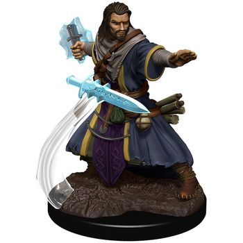 Wizkids Human Wizard Male (Premium)