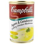 Campbell Creamy Chicken Mushroom Soup 305g