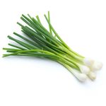 Spring Onion         