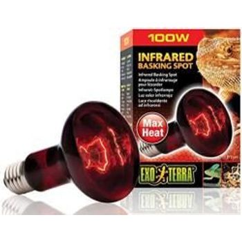Exo Terra Infrared Basking Spot R25 100w