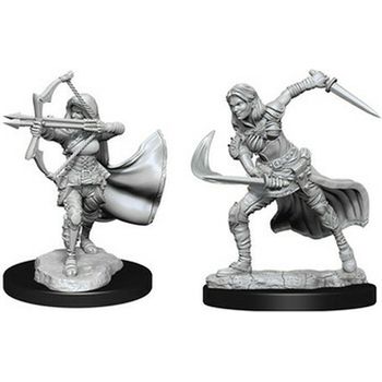 WizKids Air Genasi Female Nozurs Marvelous Miniatures Unpainted Miniatures WizKids